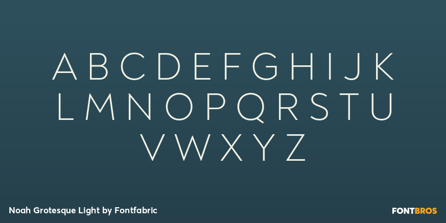 Noah Grotesque Light Font Poster #2