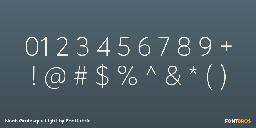 Noah Grotesque Light Font Poster #4