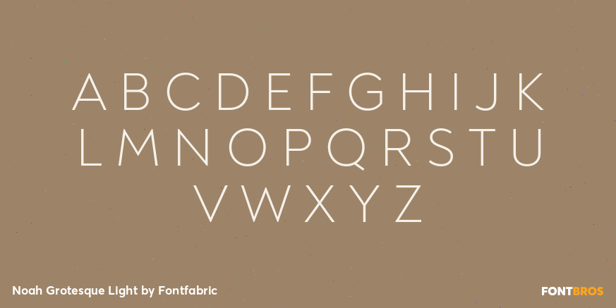 Noah Grotesque Light Font Poster #1