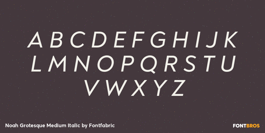 Noah Grotesque Medium Italic Font Poster #2