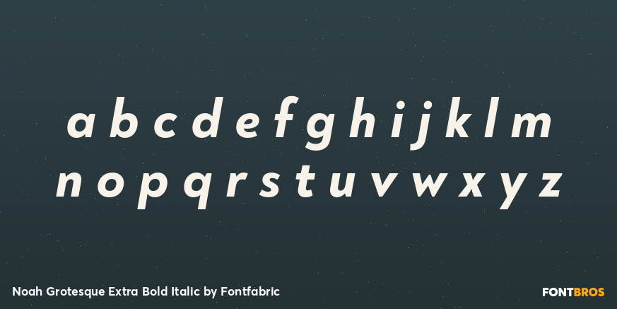 Noah Grotesque Extra Bold Italic Font Poster #3