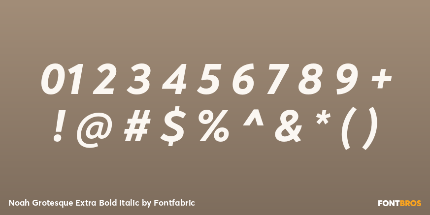 Noah Grotesque Extra Bold Italic Font Poster #4