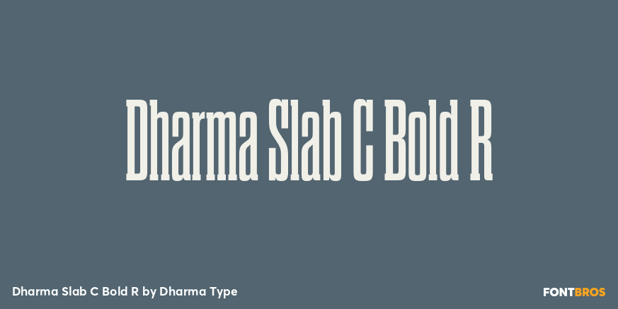 Dharma Slab C Bold R Font Poster #1