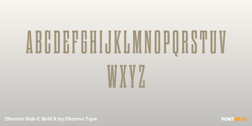 Dharma Slab C Bold R Font Poster #2