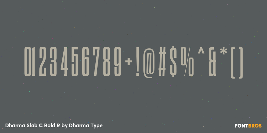 Dharma Slab C Bold R Font Poster #4