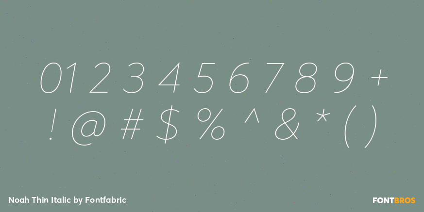 Noah Thin Italic Font Poster #1