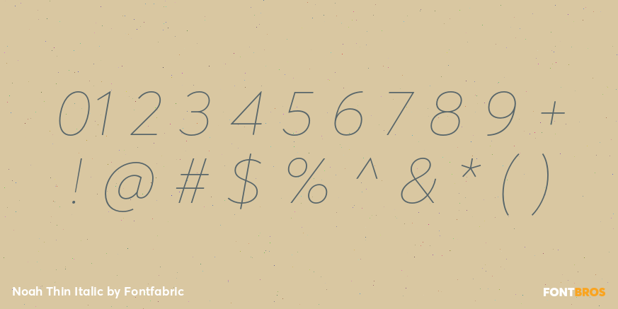 Noah Thin Italic Font Poster #4