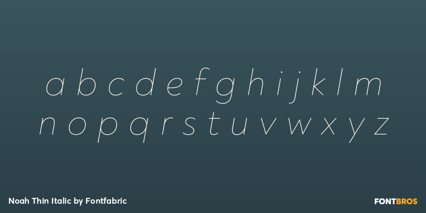 Noah Thin Italic Font Poster #1