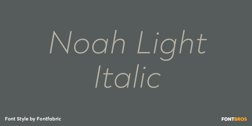 Noah Light Italic Font Poster #1