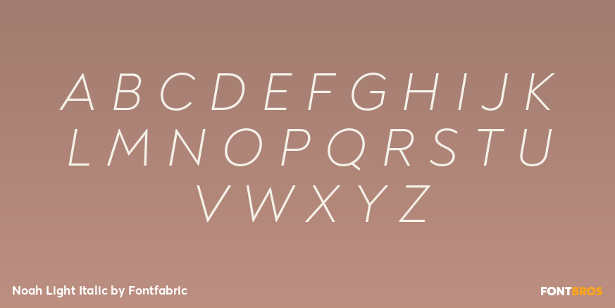 Noah Light Italic Font Poster #2