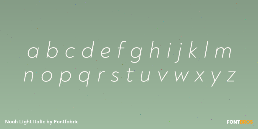 Noah Light Italic Font Poster #3