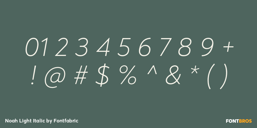Noah Light Italic Font Poster #4