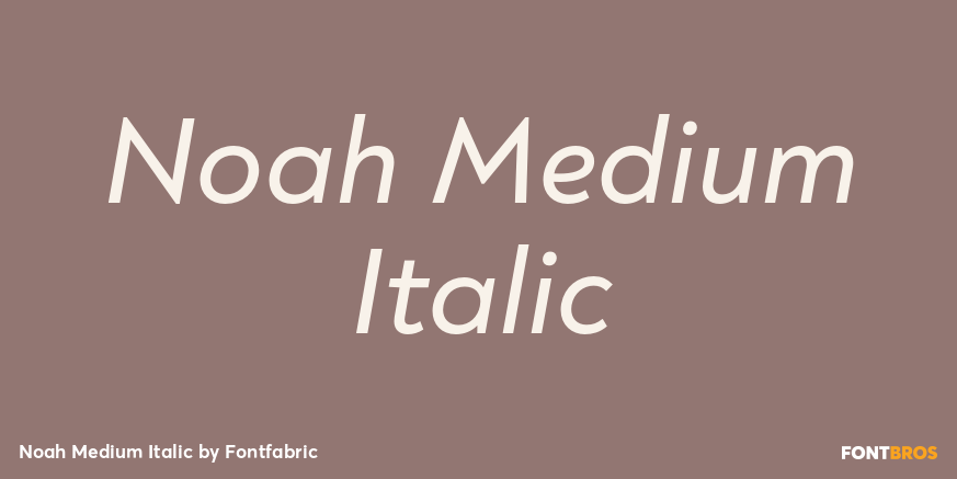 Noah Medium Italic Font Poster #1