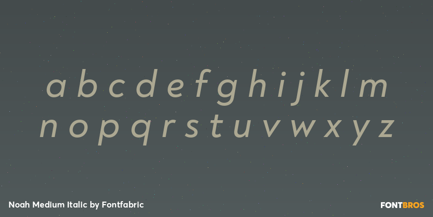 Noah Medium Italic Font Poster #3