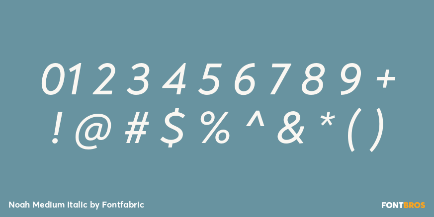 Noah Medium Italic Font Poster #4