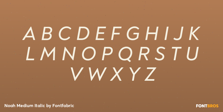 Noah Medium Italic Font Poster #1