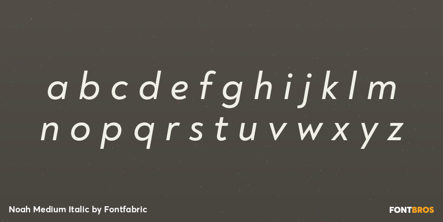 Noah Medium Italic Font Poster #1