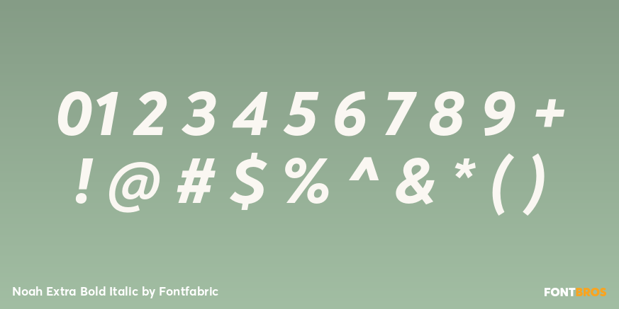 Noah Extra Bold Italic Font Poster #1