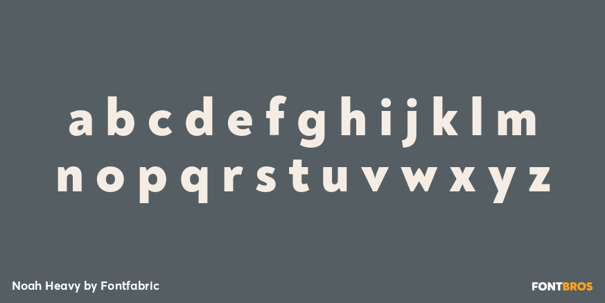 Noah Heavy Font Poster #3