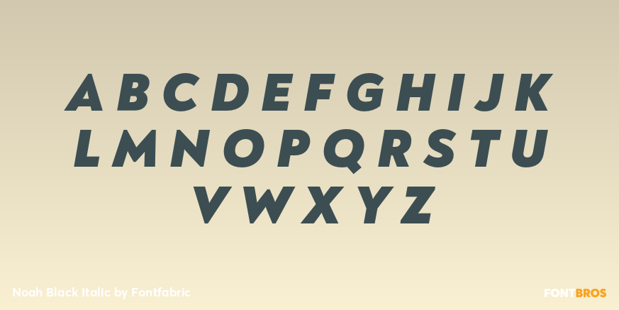 Noah Black Italic Font Poster #2