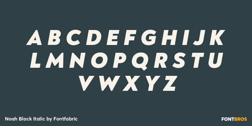 Noah Black Italic Font Poster #1