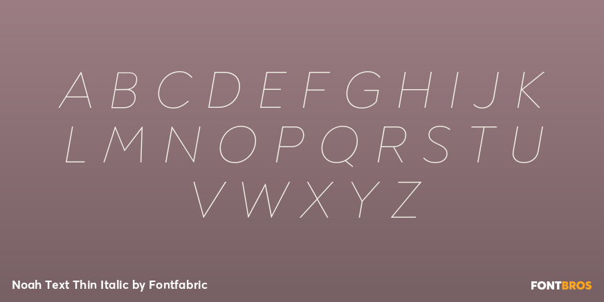 Noah Text Thin Italic Font Poster #2