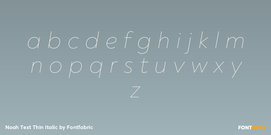 Noah Text Thin Italic Font Poster #3