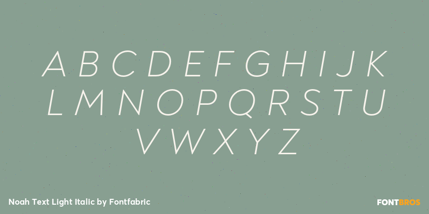 Noah Text Light Italic Font Poster #2