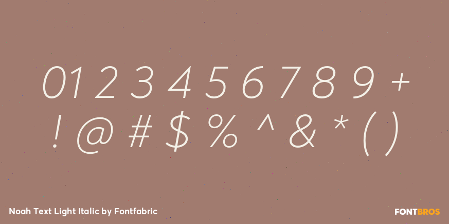 Noah Text Light Italic Font Poster #4