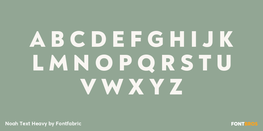 Noah Text Heavy Font Poster #2