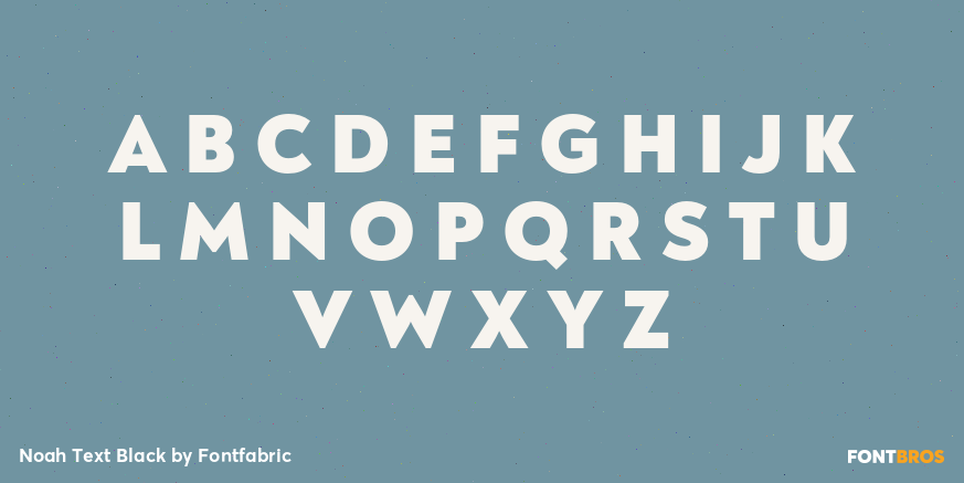 Noah Text Black Font Poster #2