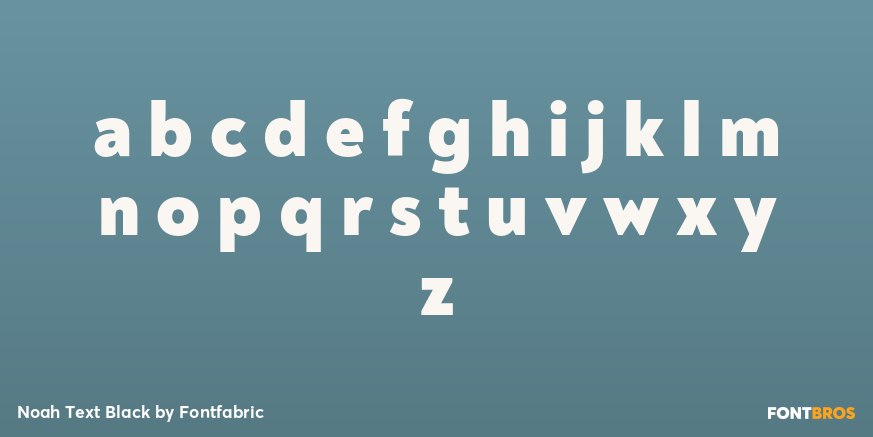 Noah Text Black Font Poster #3