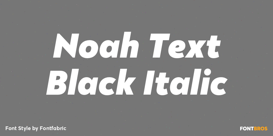 Noah Text Black Italic Font Poster #1