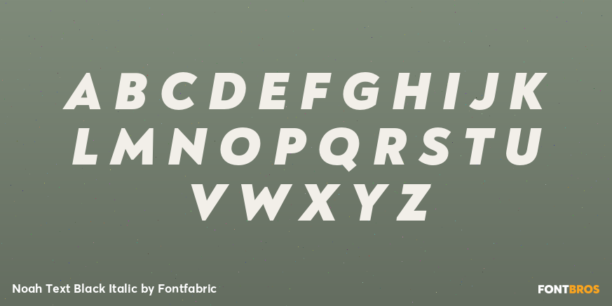 Noah Text Black Italic Font Poster #2
