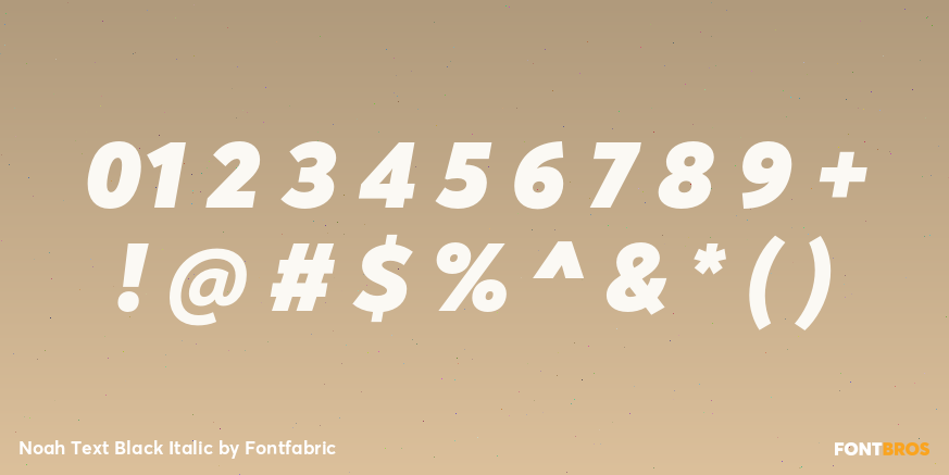Noah Text Black Italic Font Poster #4