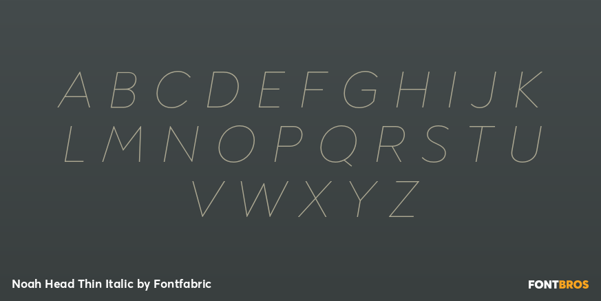 Noah Head Thin Italic Font Poster #2