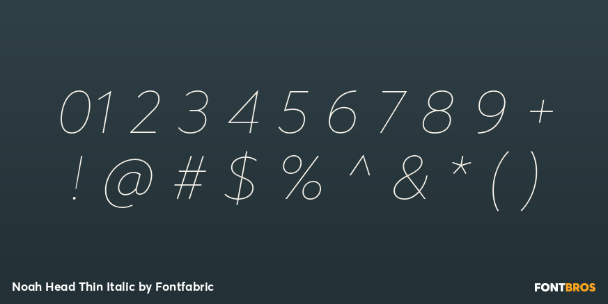 Noah Head Thin Italic Font Poster #4