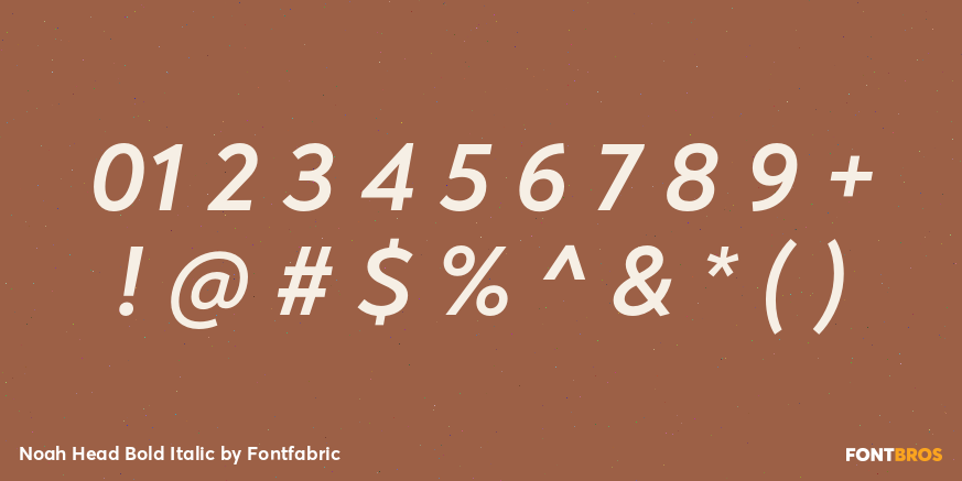 Noah Head Bold Italic Font Poster #1