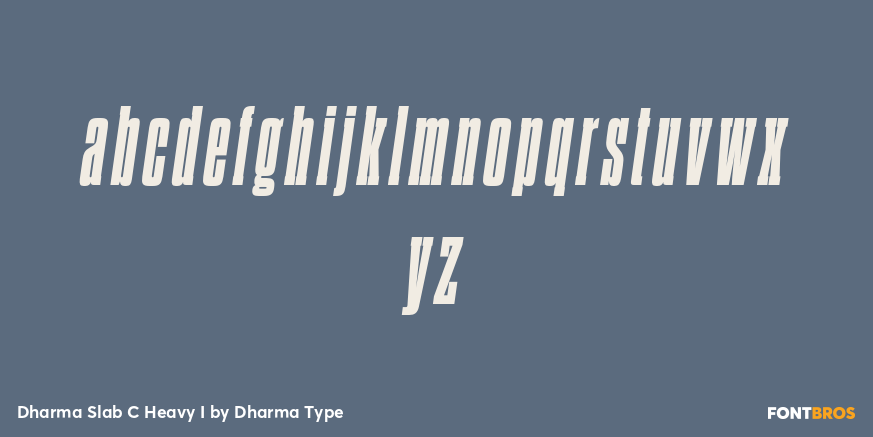 Dharma Slab C Heavy I Font Poster #3