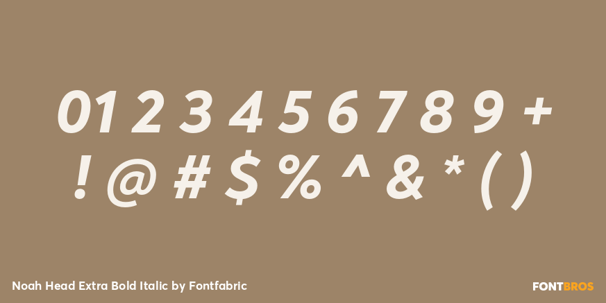 Noah Head Extra Bold Italic Font Poster #1
