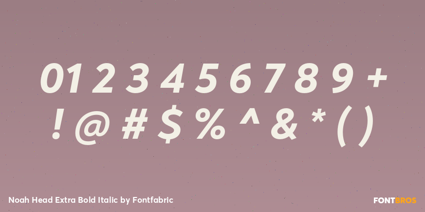 Noah Head Extra Bold Italic Font Poster #4