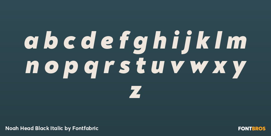 Noah Head Black Italic Font Poster #3