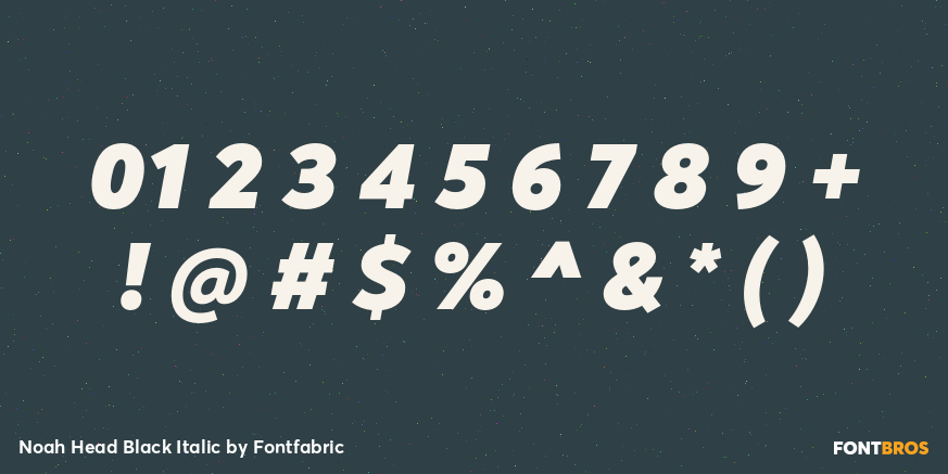 Noah Head Black Italic Font Poster #4