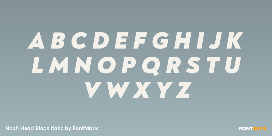 Noah Head Black Italic Font Poster #1