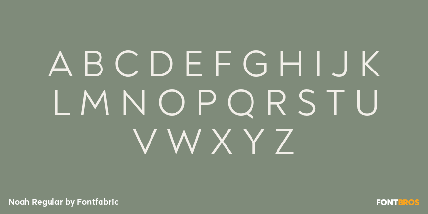 Noah Regular Font Poster #2