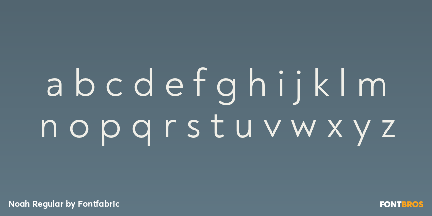Noah Regular Font Poster #3