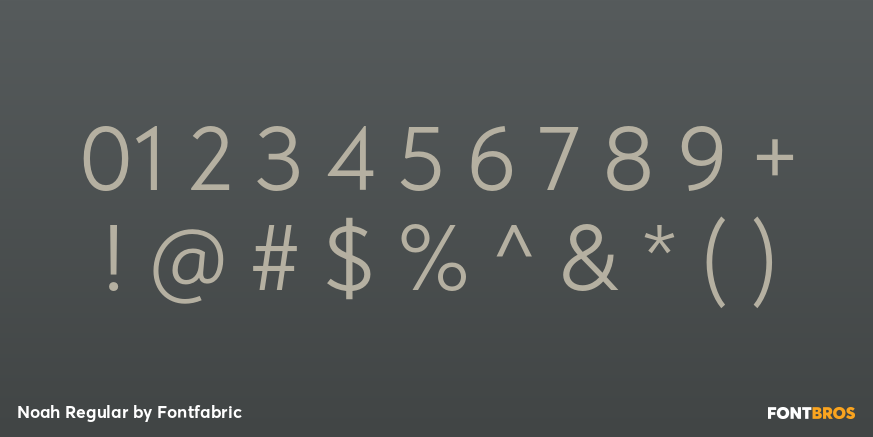 Noah Regular Font Poster #4