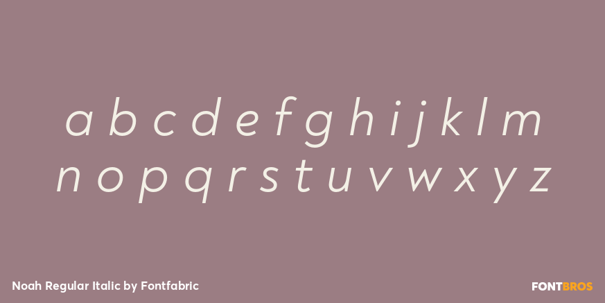 Noah Regular Italic Font Poster #3