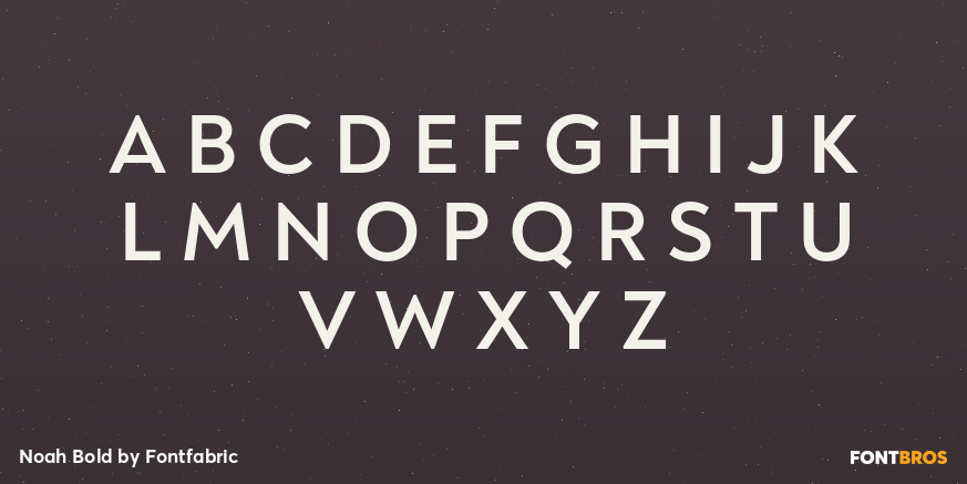 Noah Bold Font Poster #2