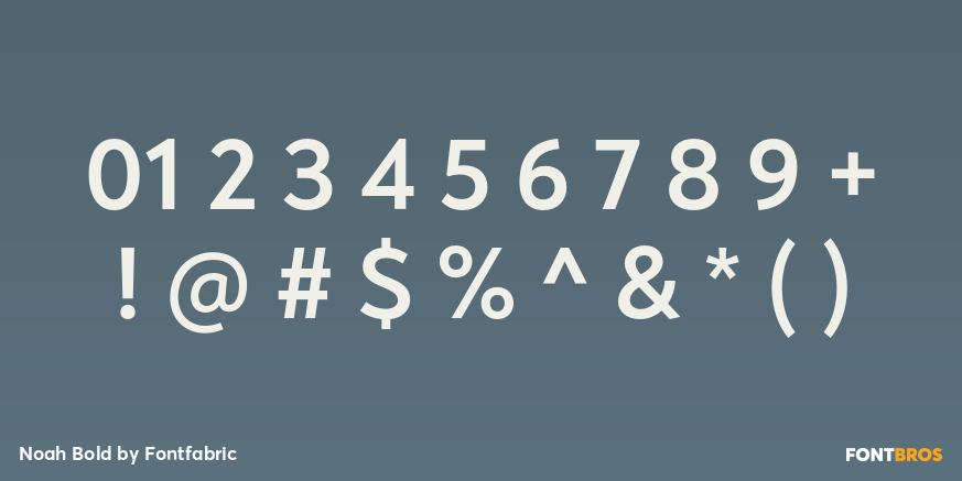 Noah Bold Font Poster #4